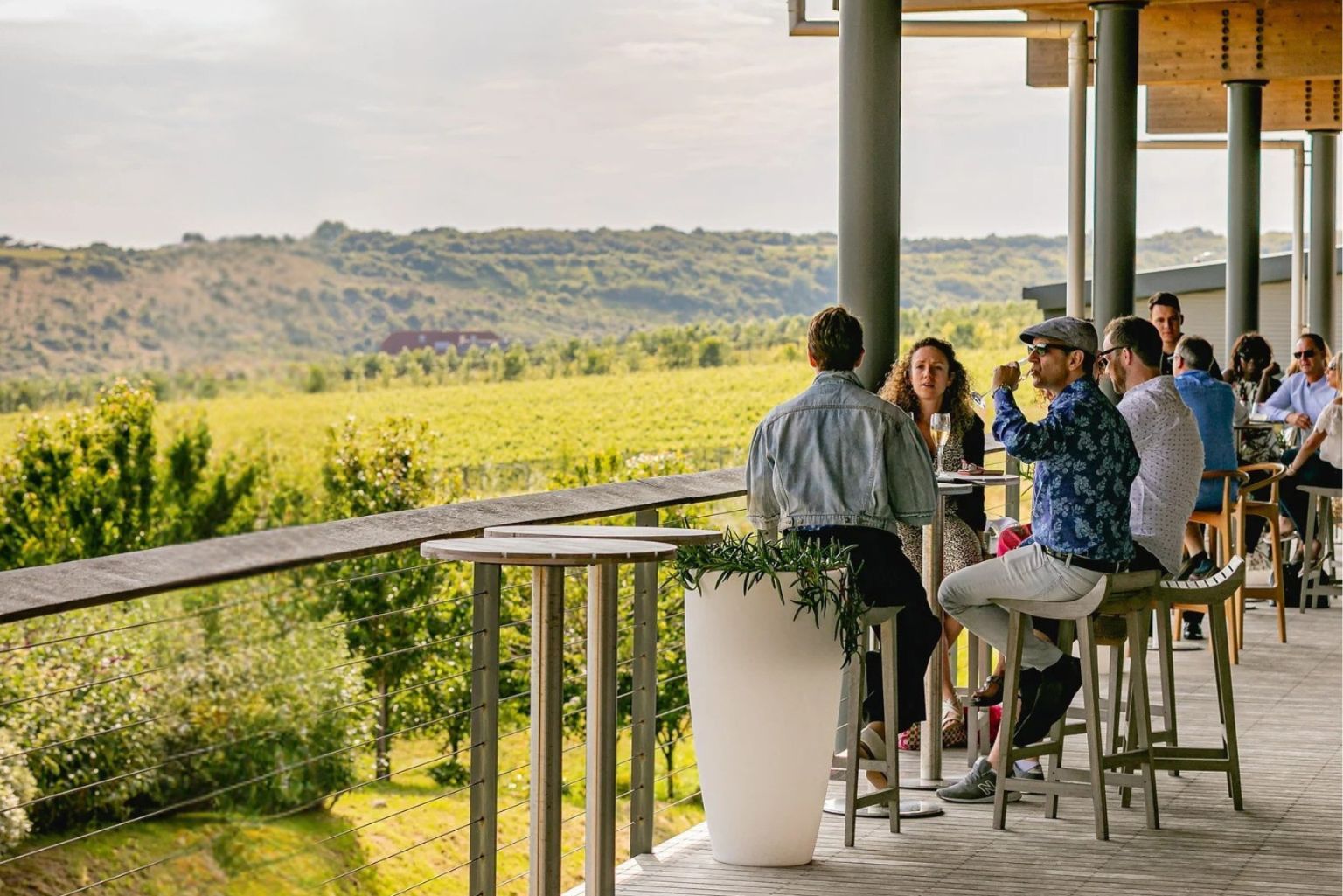 Vineyard views at the Rathfinny estate