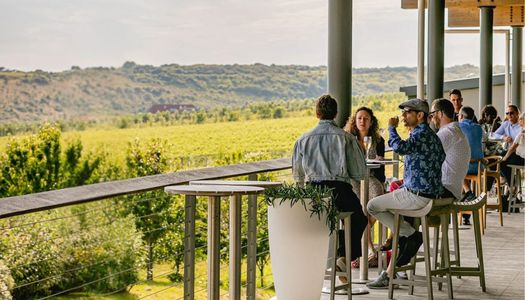 Vineyard views at the Rathfinny estate
