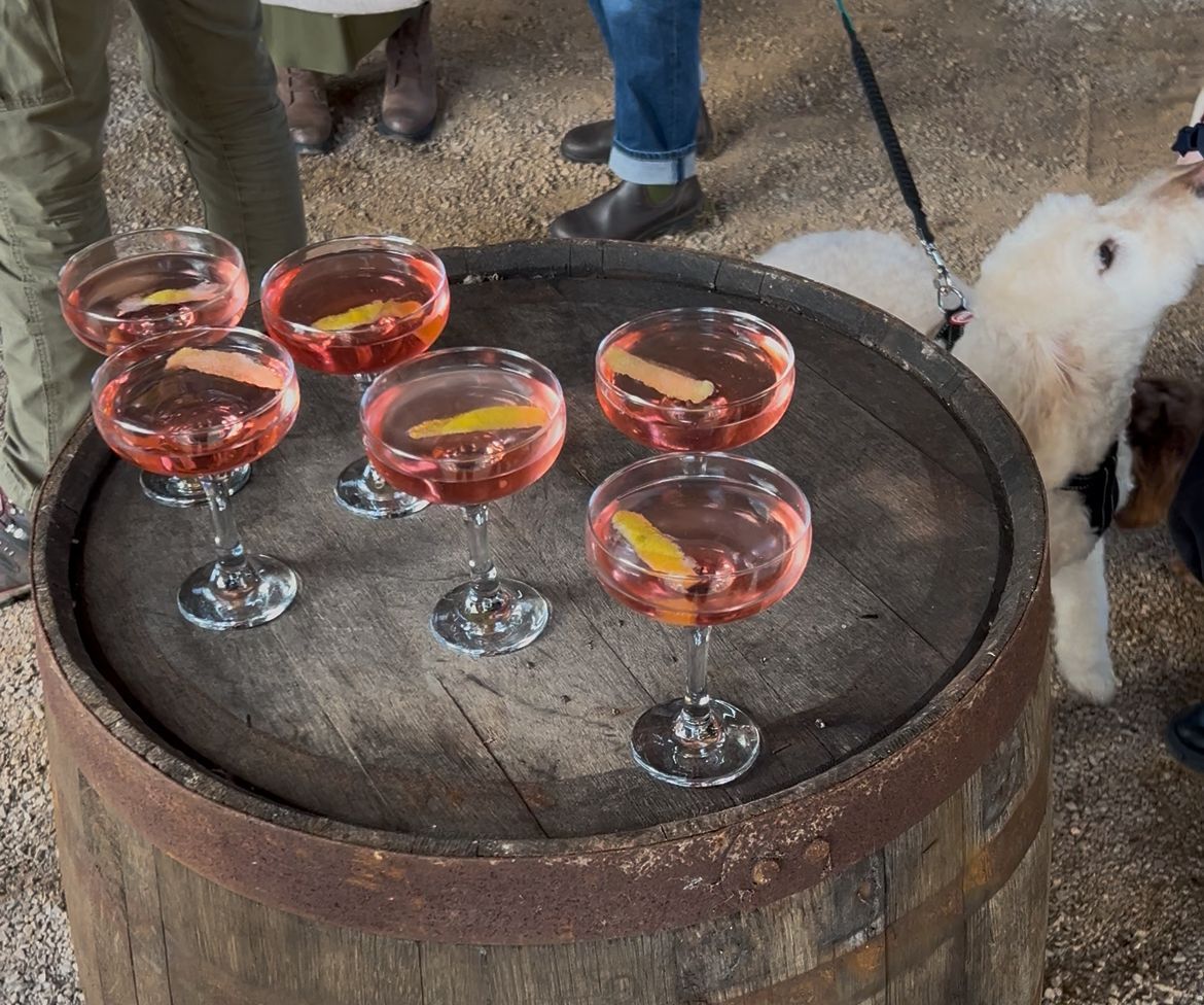 zesty sloe gin fizz drinks on the wooden table served on A Feast Over Fire in Firle event