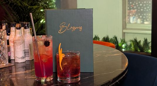 The Nightfall Negroni and Cherry Origami