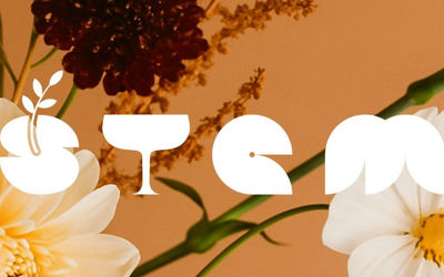 artwork for Stem restaurant in Hove, new restaurant opening in 2026 by the team at Dilsk, Hove restaurant