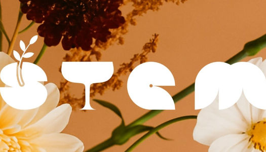 artwork for Stem restaurant in Hove, new restaurant opening in 2026 by the team at Dilsk, Hove restaurant