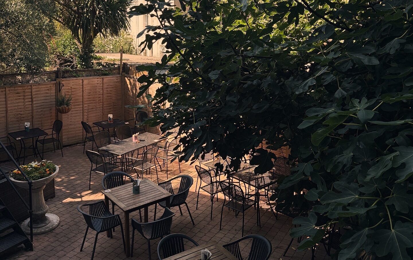 beautiful back garden at the canopy