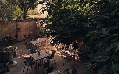 beautiful back garden at the canopy