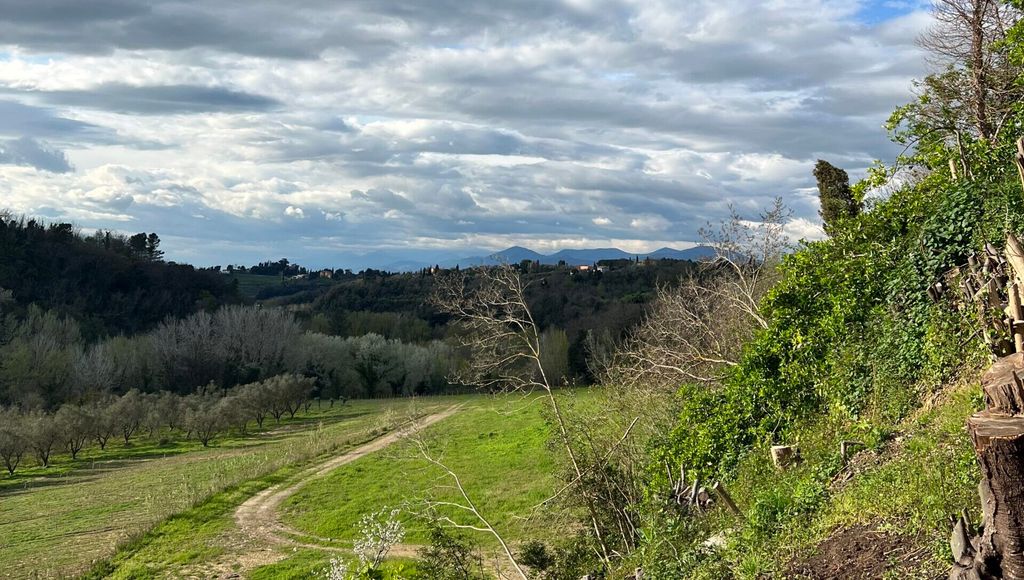 Cin Cin at Villa Loredana in Tuscany: A Tuscan Food and Wine Weekend
