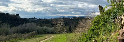 Cin Cin at Villa Loredana in Tuscany: A Tuscan Food and Wine Weekend