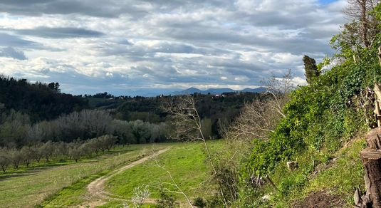 Cin Cin at Villa Loredana in Tuscany: A Tuscan Food and Wine Weekend