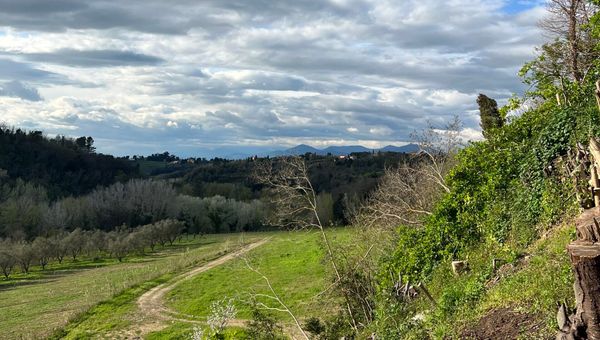 Cin Cin at Villa Loredana in Tuscany: A Tuscan Food and Wine Weekend