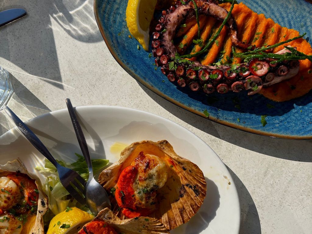 over head shot of the scallop and octopus dish