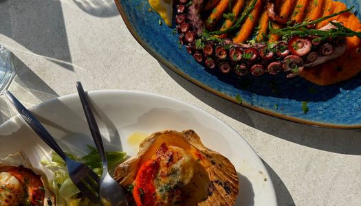 over head shot of the scallop and octopus dish