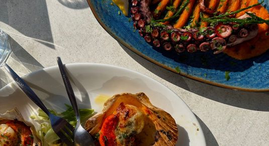 over head shot of the scallop and octopus dish