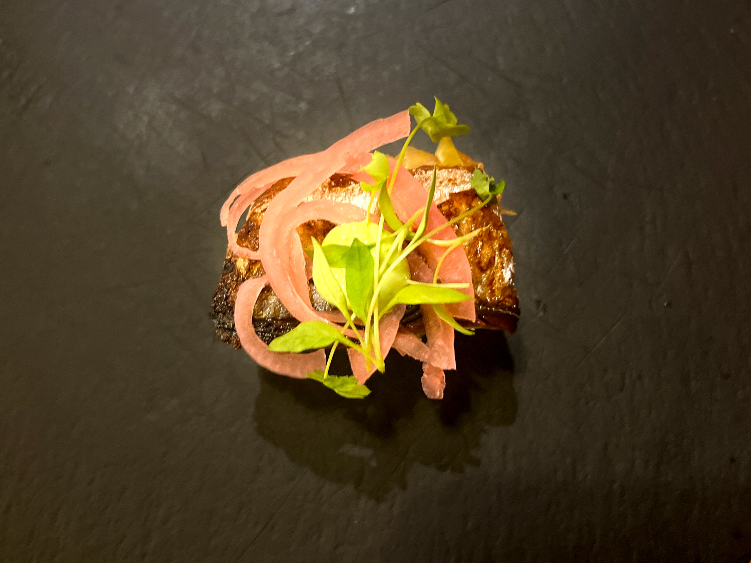 south coast mackerel