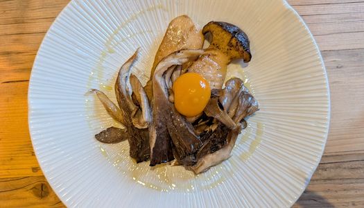 Large slices of cep / porcini and oyster mushrooms
