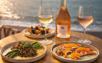 a table of food on a sunset lit terrace overlooking the seat. there are three small plates of food and two glasses of blush wine.