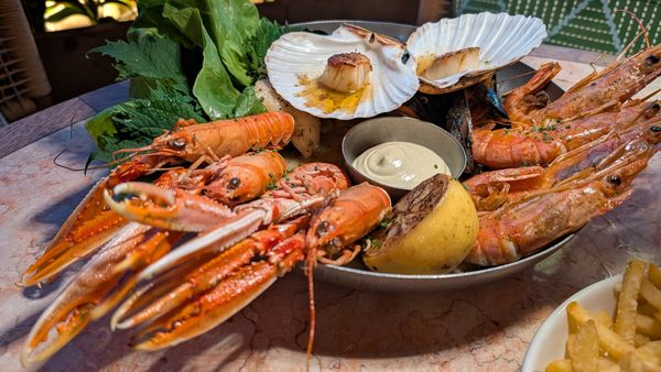 Argentinian prawns