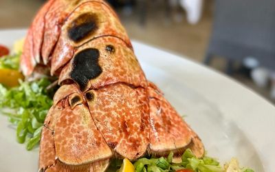 a lobster tail. Restaurants on Brač, pictured lobster and salad at Konoba Kopaćina in Donji Humac