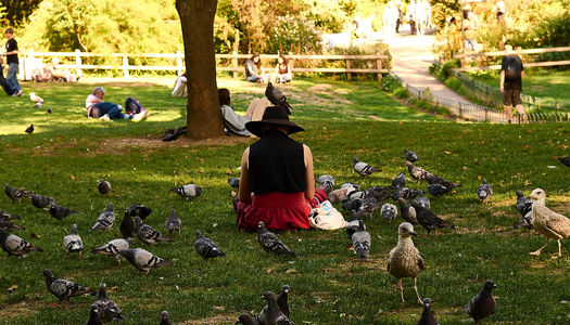 A person sat in the Pavilion Gardens with a pigeon on their head