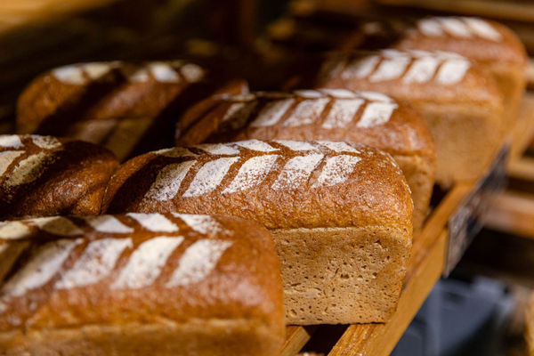 Loaves of bread with a flour pattern dusted on the top