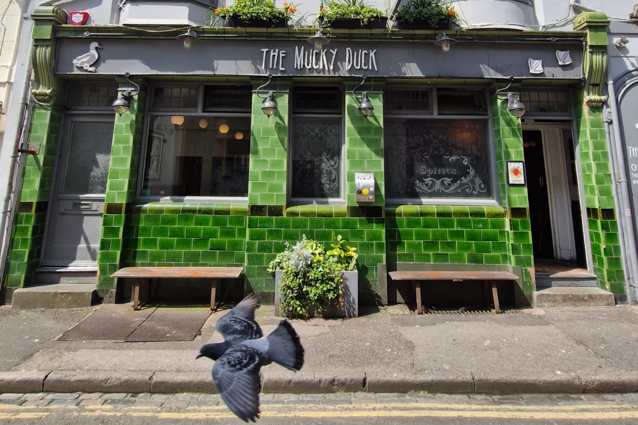 the mucky duck exterior shot of the venue